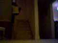 videos de Stunts, flips, jumps! AMAZING!