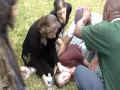 new-orleans-city-hall-protest-december-20-2007-video-1.html