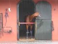 Valeur tomando �gua da chuva...