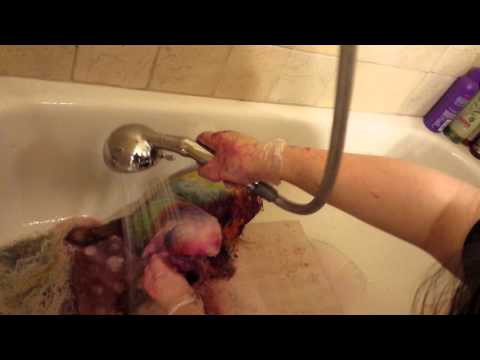 how to dye a dog with kool aid