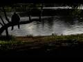 DI-HA-LOGO-S.WMV