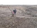 Africa Twin in action