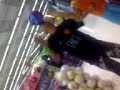 Nóis Zuando No Carrefour