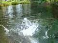Salto de Peraputanga em Nobres - 1