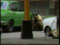 El Salvador in the 1980's