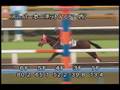videos de [調教] 081008 スーパーホーネット 「毎日王冠」前追い切り