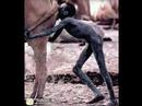 Absurdo!!!!