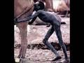 Foto v�deo