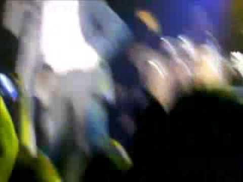 Pitbull (rapper) - Rapper punches man on stage, lol and he keeps going!