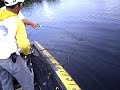 El Salto 7lb 8 oz (2)