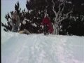 1988 Coasting