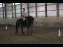 Ari and Bentley: 4h Level 3 Practice