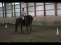 Ari and Bentley: 4h Level 3 Practice
