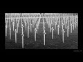 bog-i-hrvati.html