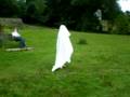 Another Ghost sighting