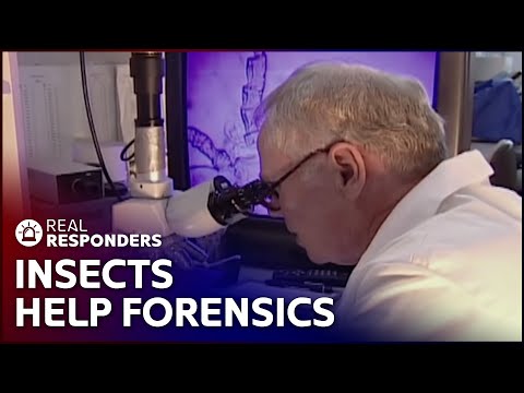 Murder In The Woods | The New Detectives | Real Responders