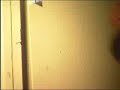 Cocinar un cristo