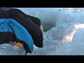 рыбалка в свердловской области видео паша с уралмаша рыбалка в свердловской области видео паша с уралмаша