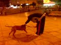 ANFO jugando ANFO jugando