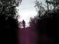 En el coladero (silverbikers)