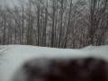 videos de SNOW ALLA CIECA