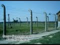 Auschwitz, e li ho pianto