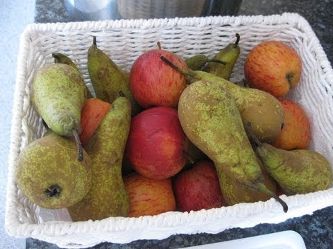 Fun making apple and pear wine