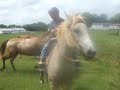 booger and suprize playing around in pasture