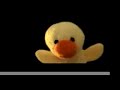 Funky Duck