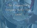 our main steel drums (pans) are made in akron, ohio at panyard inc. this lead sings loud and clear with a really nice warm tone that gets thinner and cuts through when you jump on it. plenty of soul in this beauty.