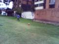 partido en el gen