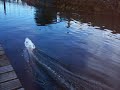 Remote control speed boat Remote control speed boat