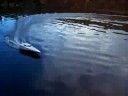 Remote control speed boat