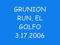 Grunion Run