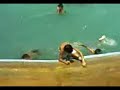 yahya zakariae 2008 piscine camping