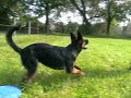 Emmi Dogging Zeitlupe