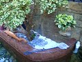 My Fish Pond - 2
