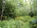 Linda's path