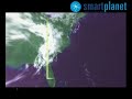 Consecuencias de la desaparici�n de los tiburones