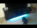 (uploaded by IIIn0neIII)&nbsp;LED Light Strip Follow up! New setup, Looking Swee