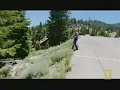Dog chases bear up a tree for the 2nd time. Dog chases bear up a tree for the 2nd time.