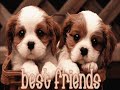 korekt feat rafaga-sabes (best friends) Manele-Gratis.net