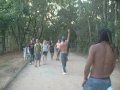 taquaral apresentação