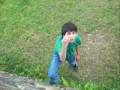 tramacaso jimmy y daniel