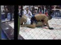 Belize M.M.A. mma 2013 fight 2 Video