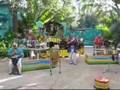 Village Beatniks at Disney's Animal Kingdom