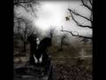 Evanescence Haunted