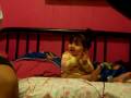 videos de Miranda singing. lmao