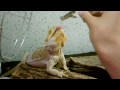 Voir la vid&eacute;o