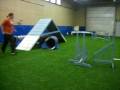Merri doing agility